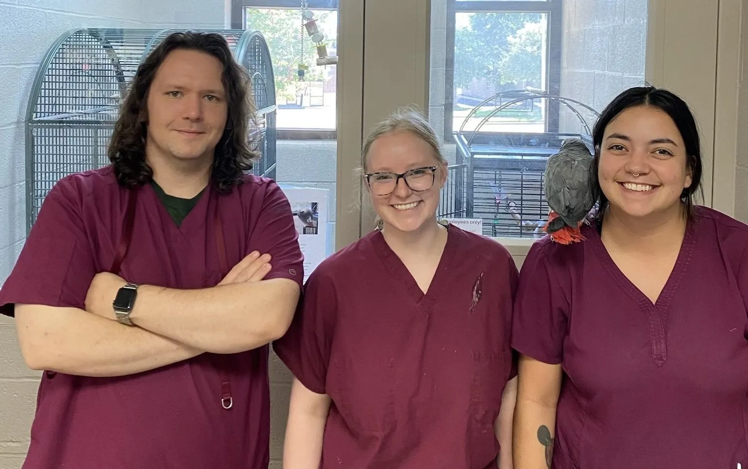 Wolfchase Animal Hospital