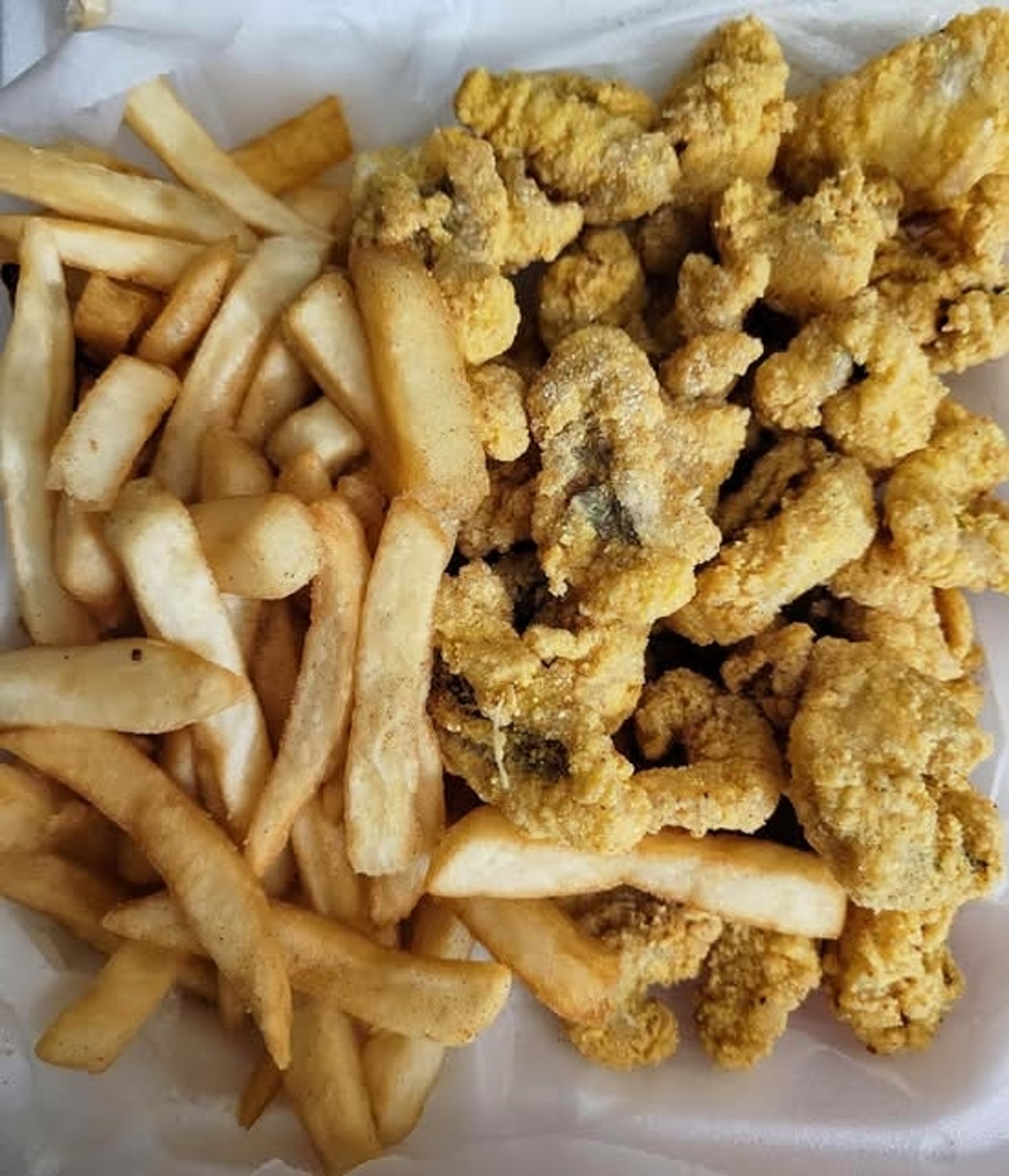 Catfish Meal