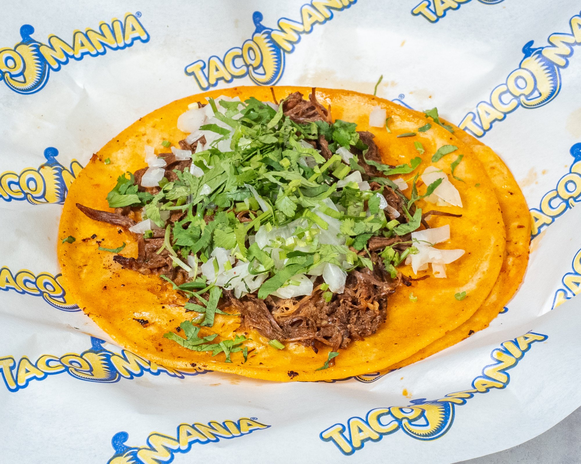 Birria Taco