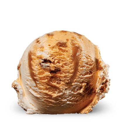 Pumpkin Cheesecake