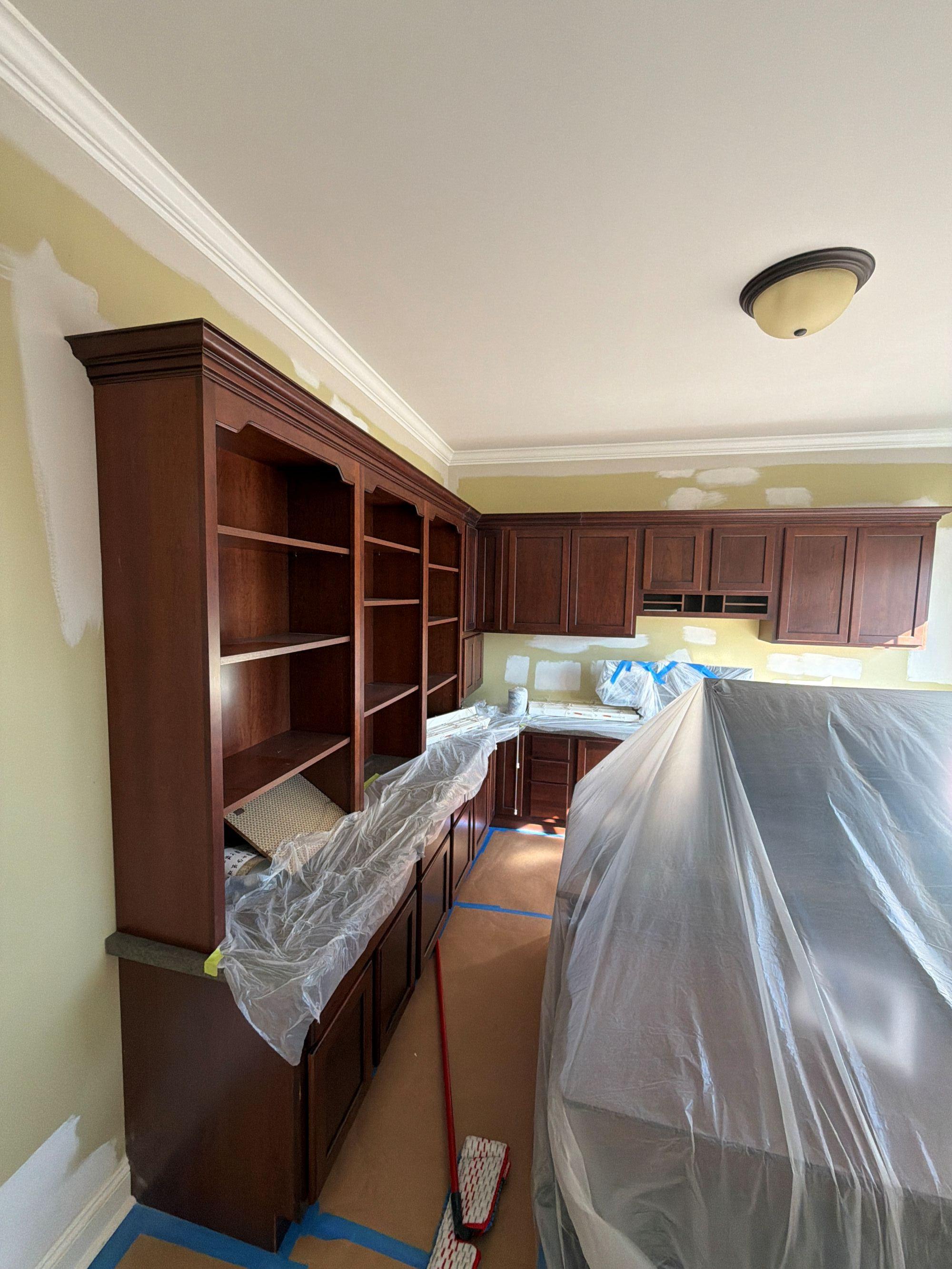 Blue Jay Painting Image