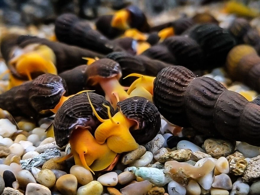 Terrarium Station Image