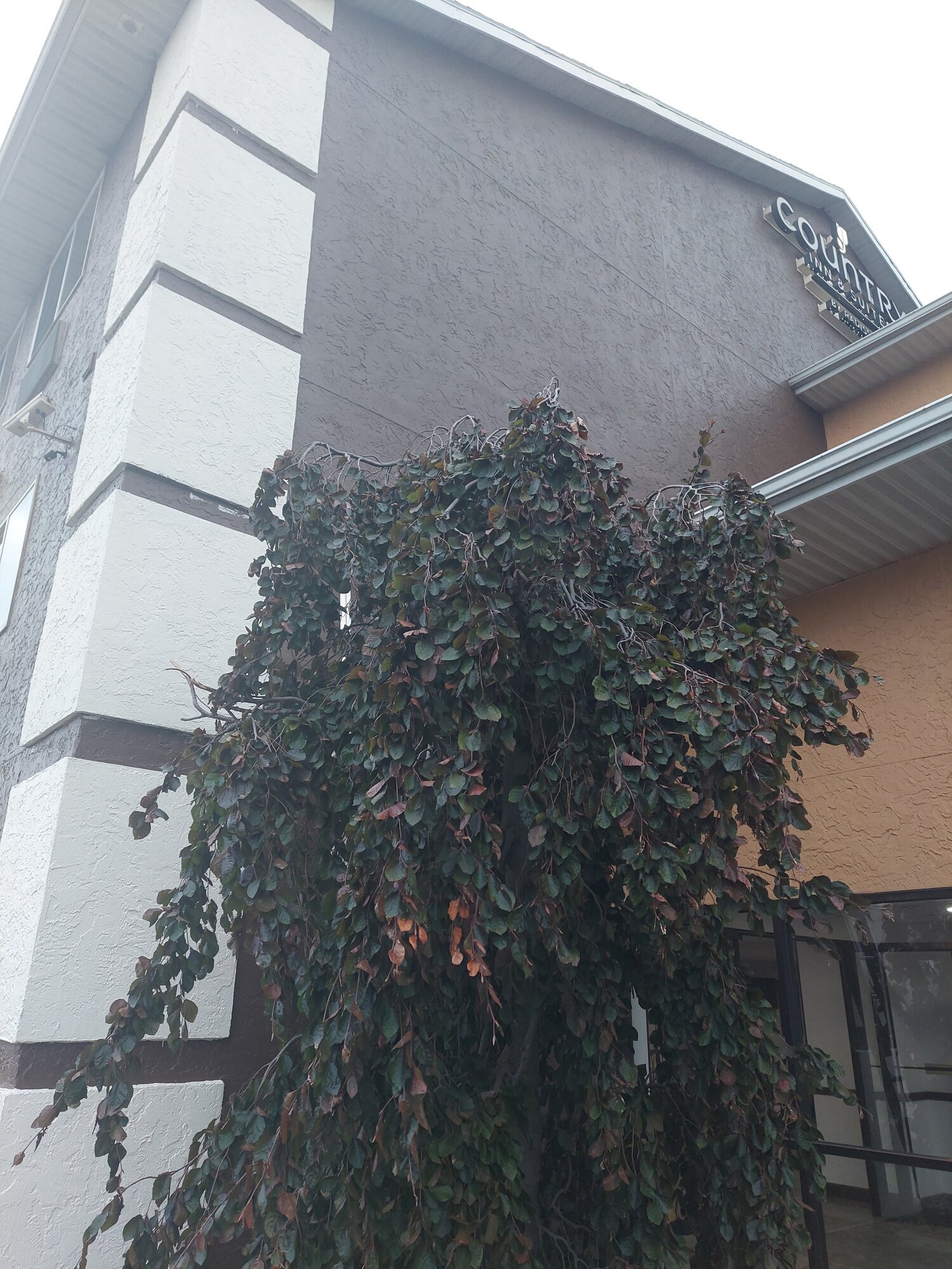 Precision Coats Commercial Roofing LLC Image