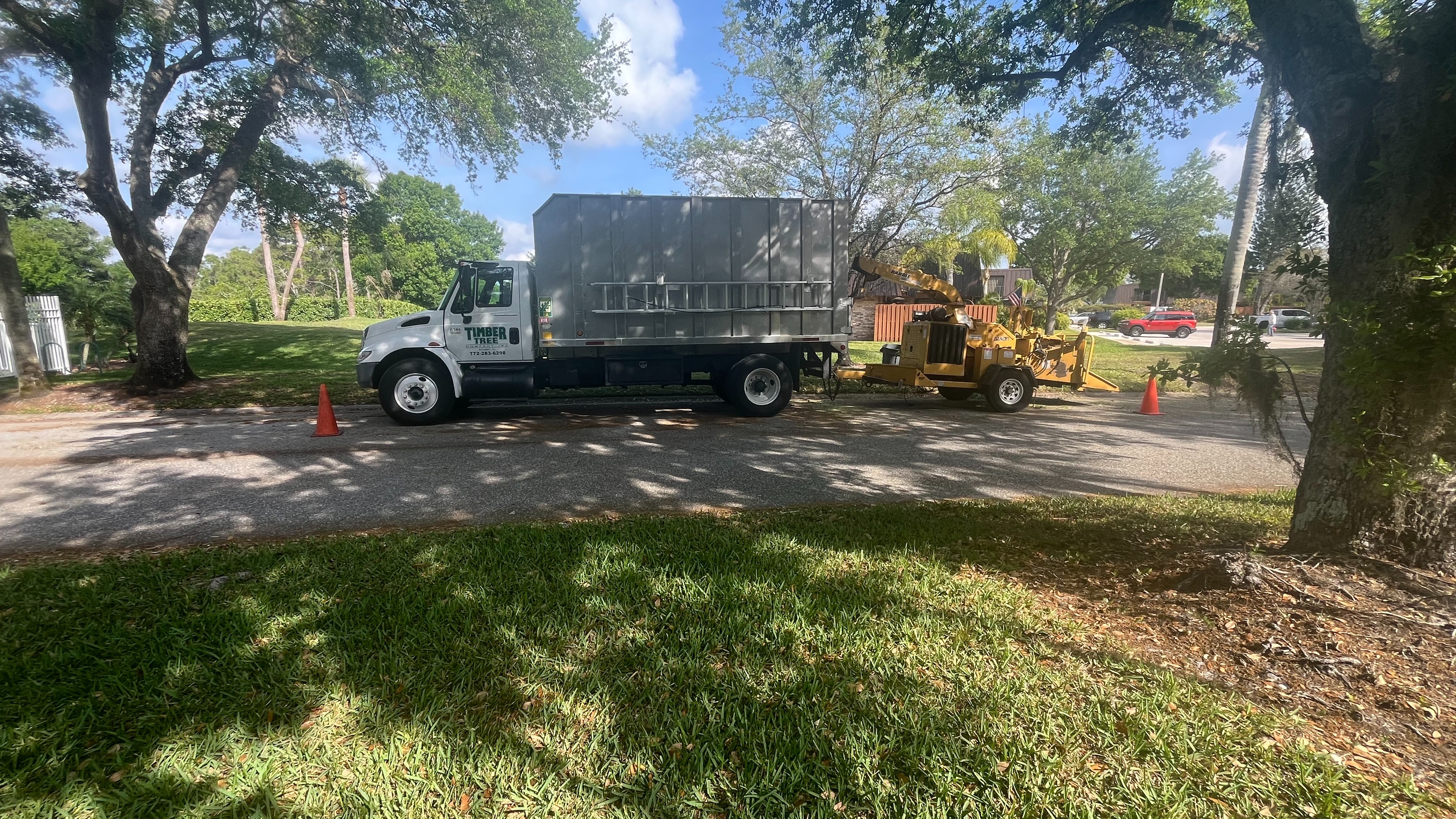 Timber Tree Co Image