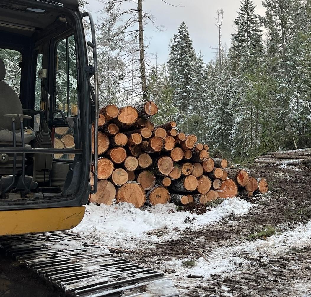 Timber Valley Tree Co. Image