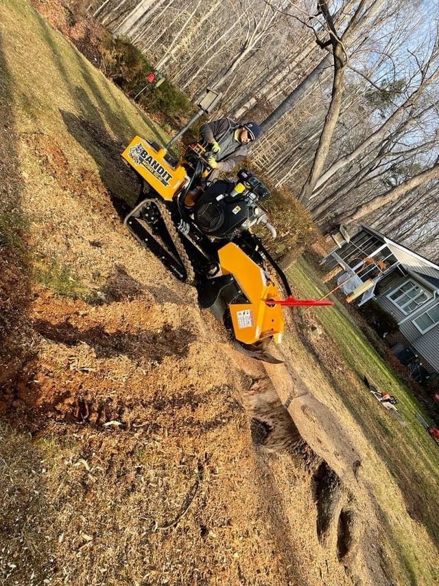 Ventura Tree Services LLC Image