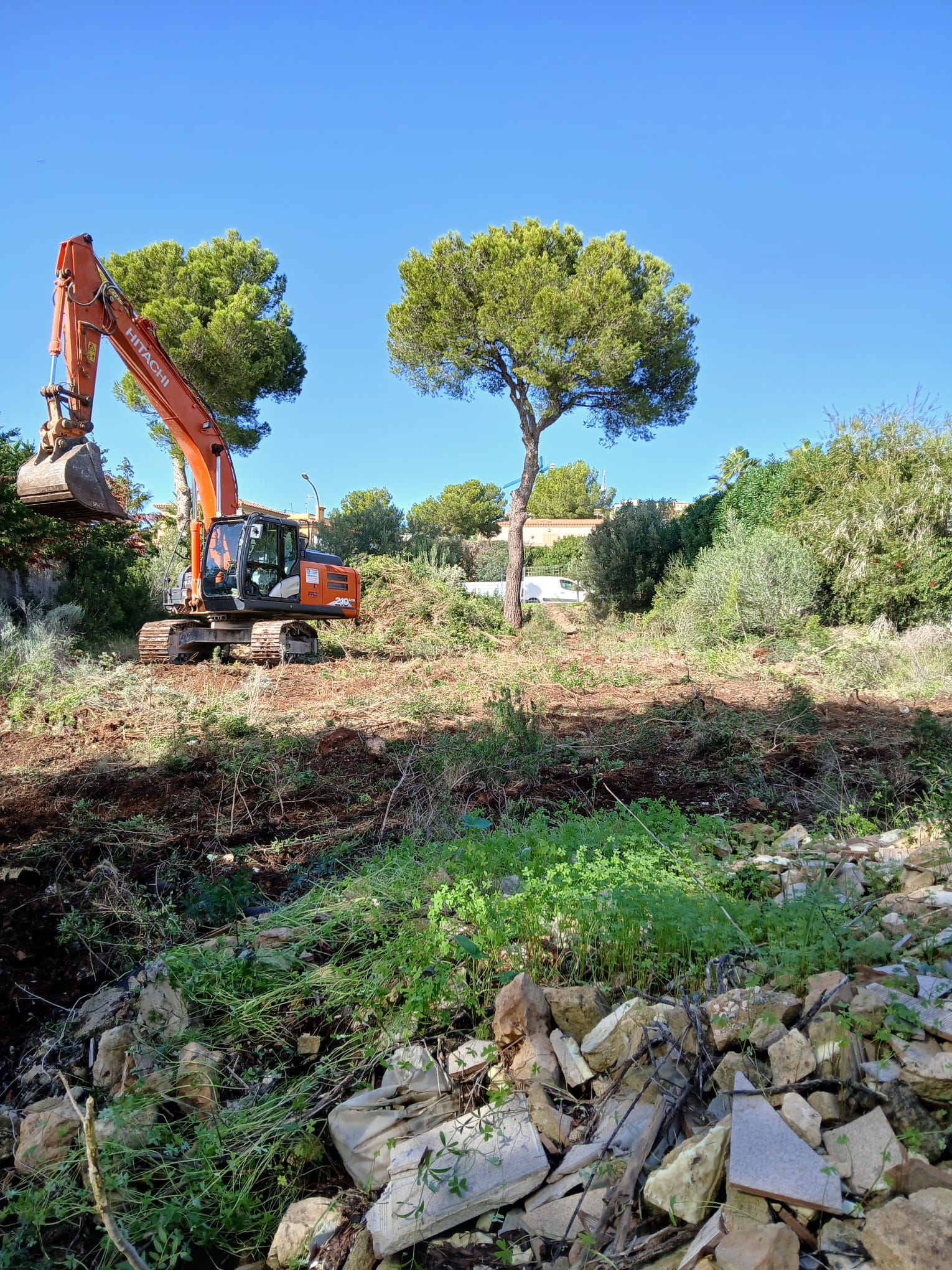 Galería en miniatura