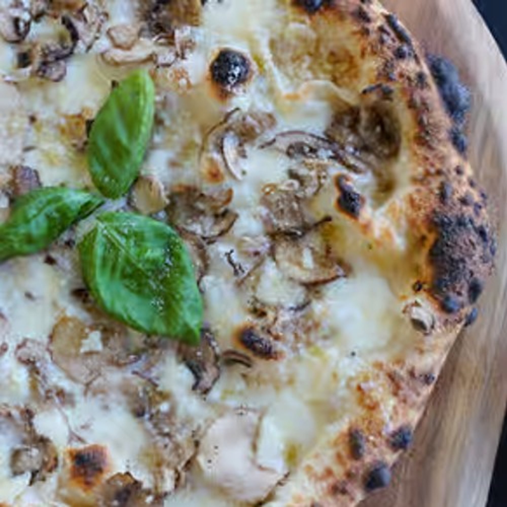 Tartufo & Funghi Pizza
