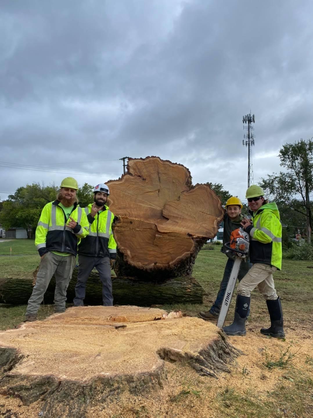 Specialty Tree & Bucket Service Image