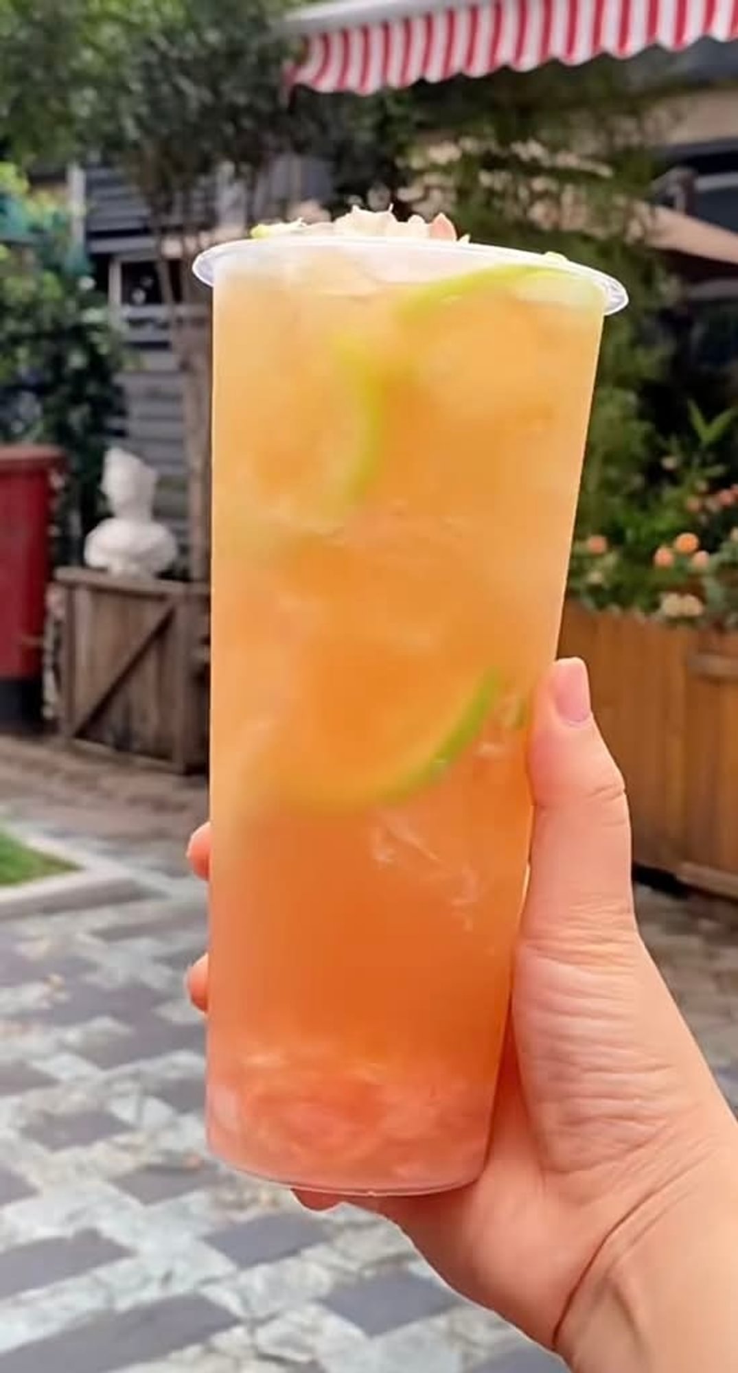 Yuzu Lemon Green Tea