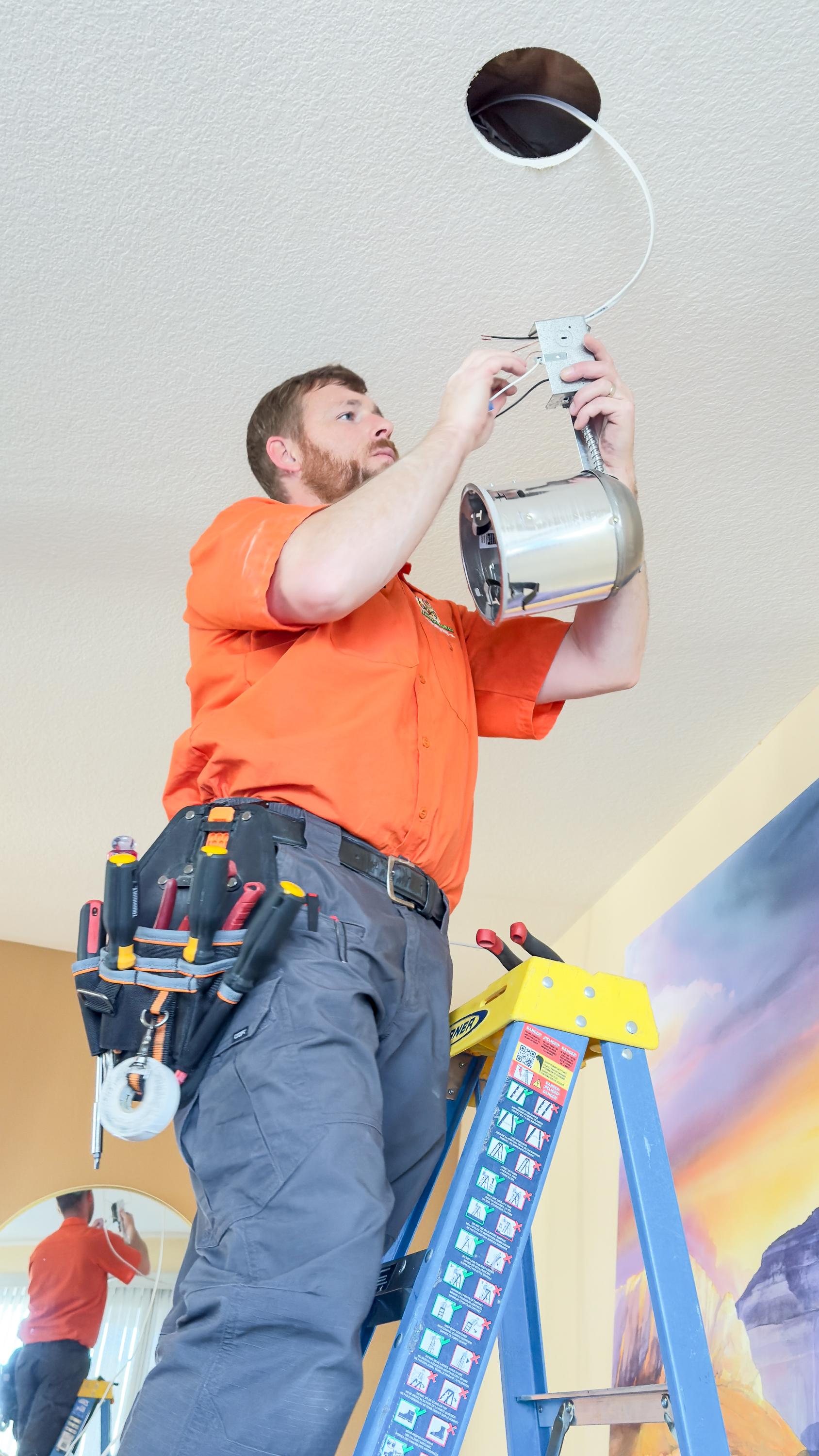 Orange Gator Electric Image