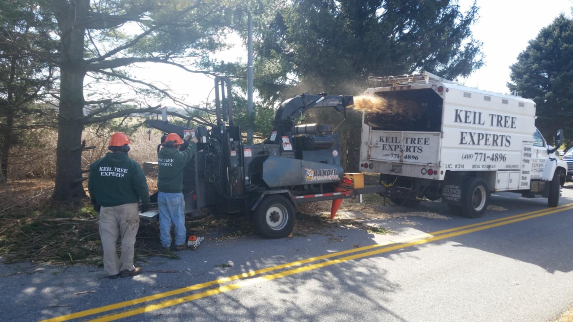 Keil Tree Experts Inc Image