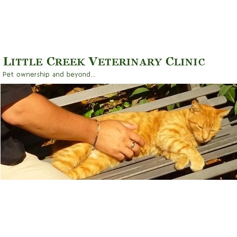 Little Creek Vet