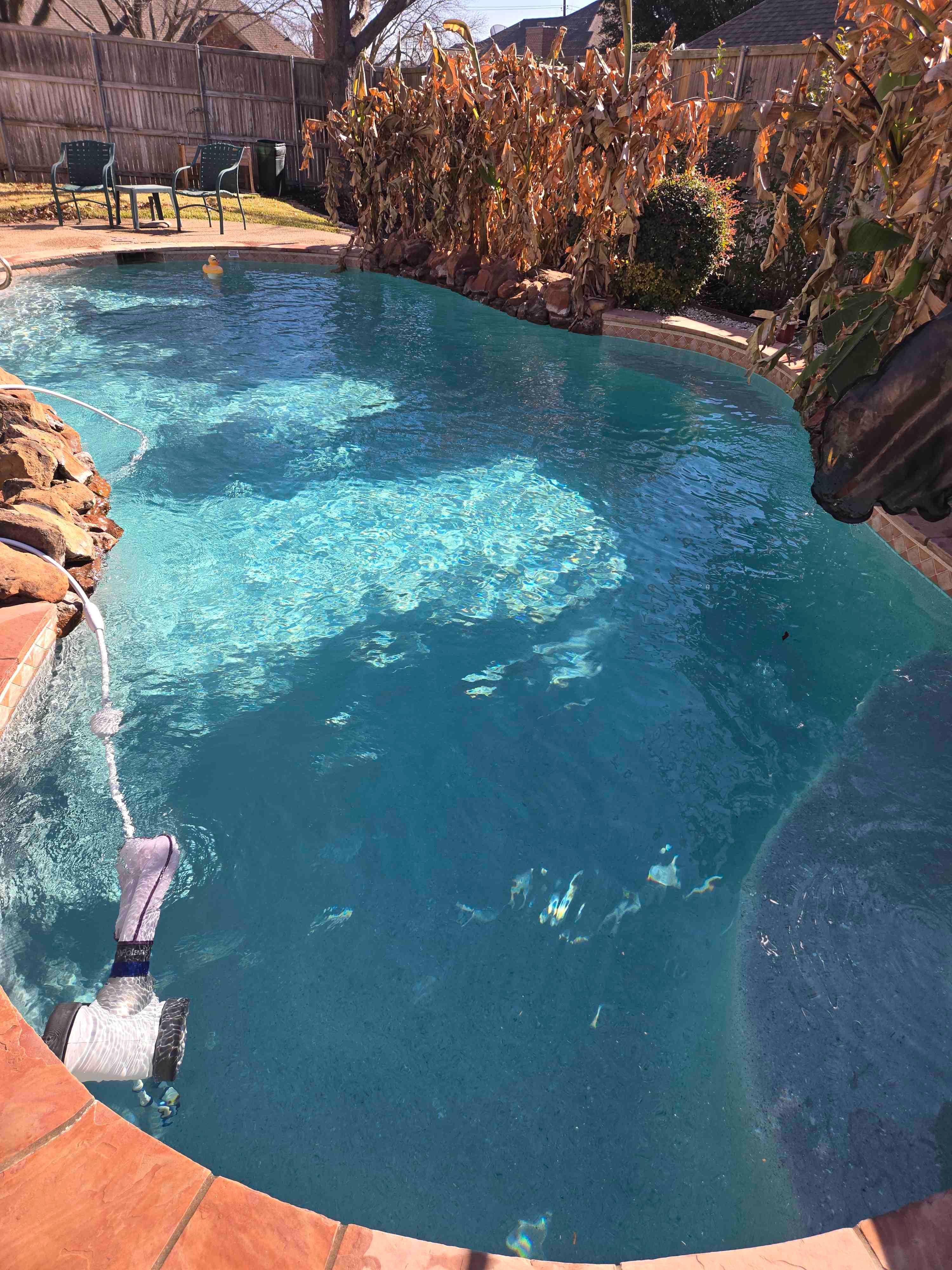 North Texas Pool Pros Image