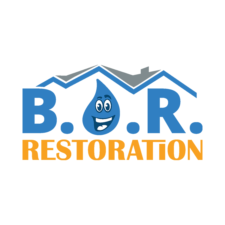 Best Option Restoration Highlands Ranch &amp; Cherry Hills Logo