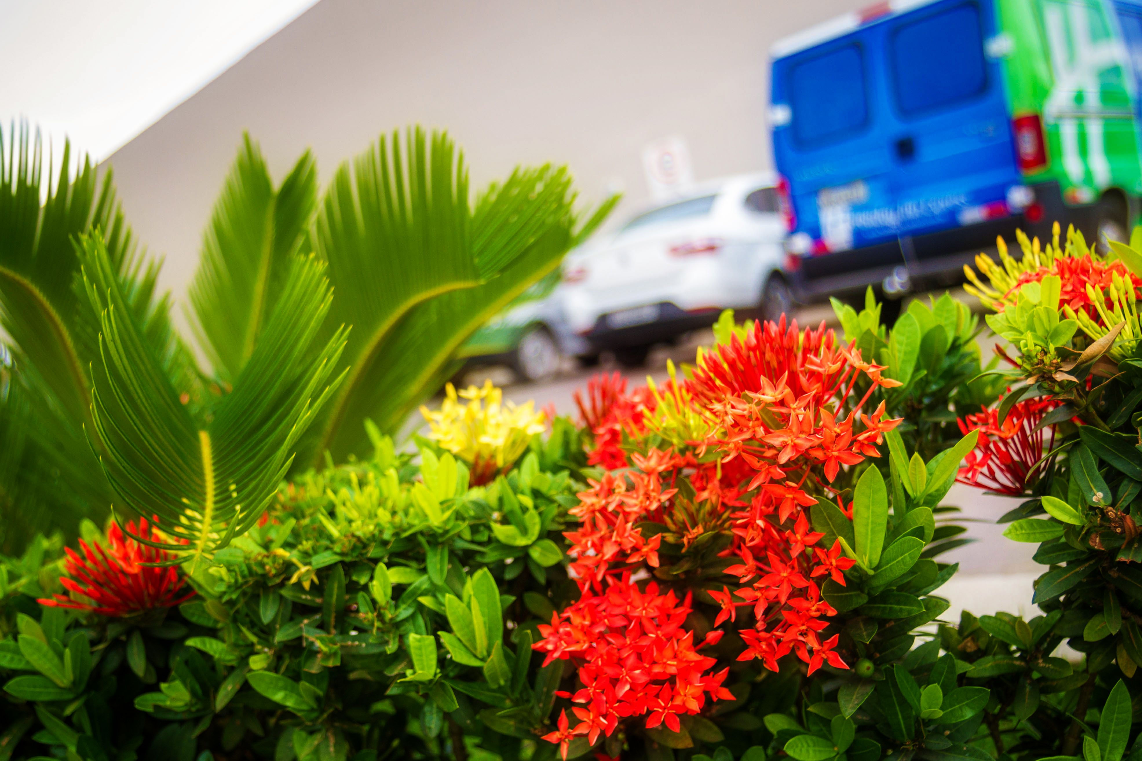 Images Holiday Inn Express Rio Branco