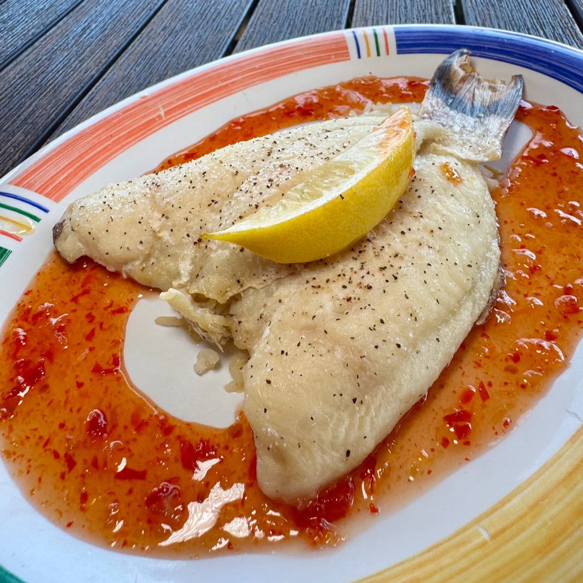 Island Hogfish