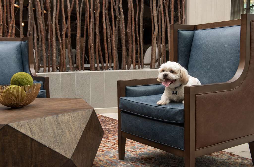 Embassy Suites by Hilton Springfield Image