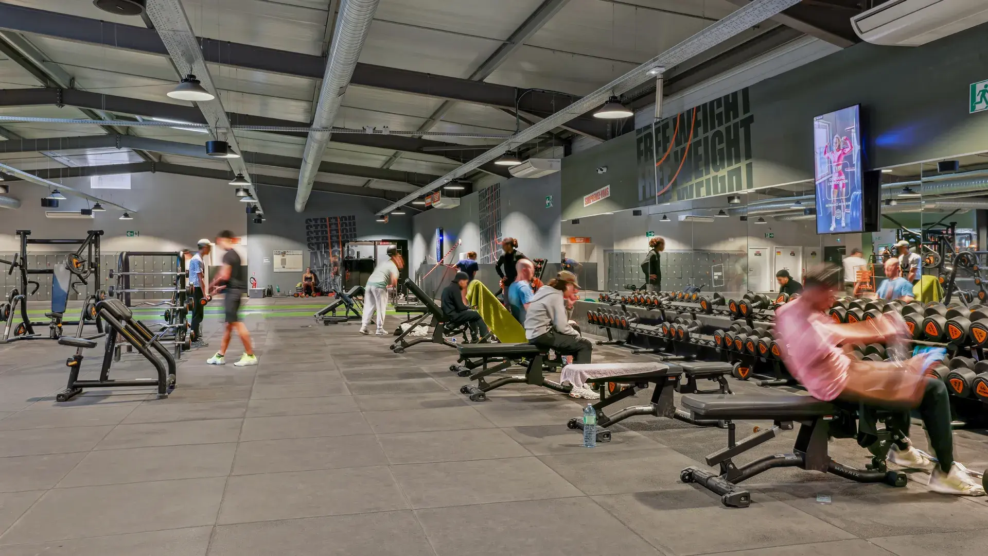 Miniature de la galerie