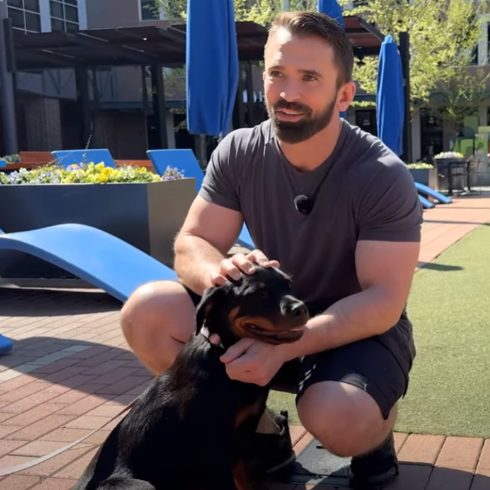 Nate Schoemer Dog Training Image