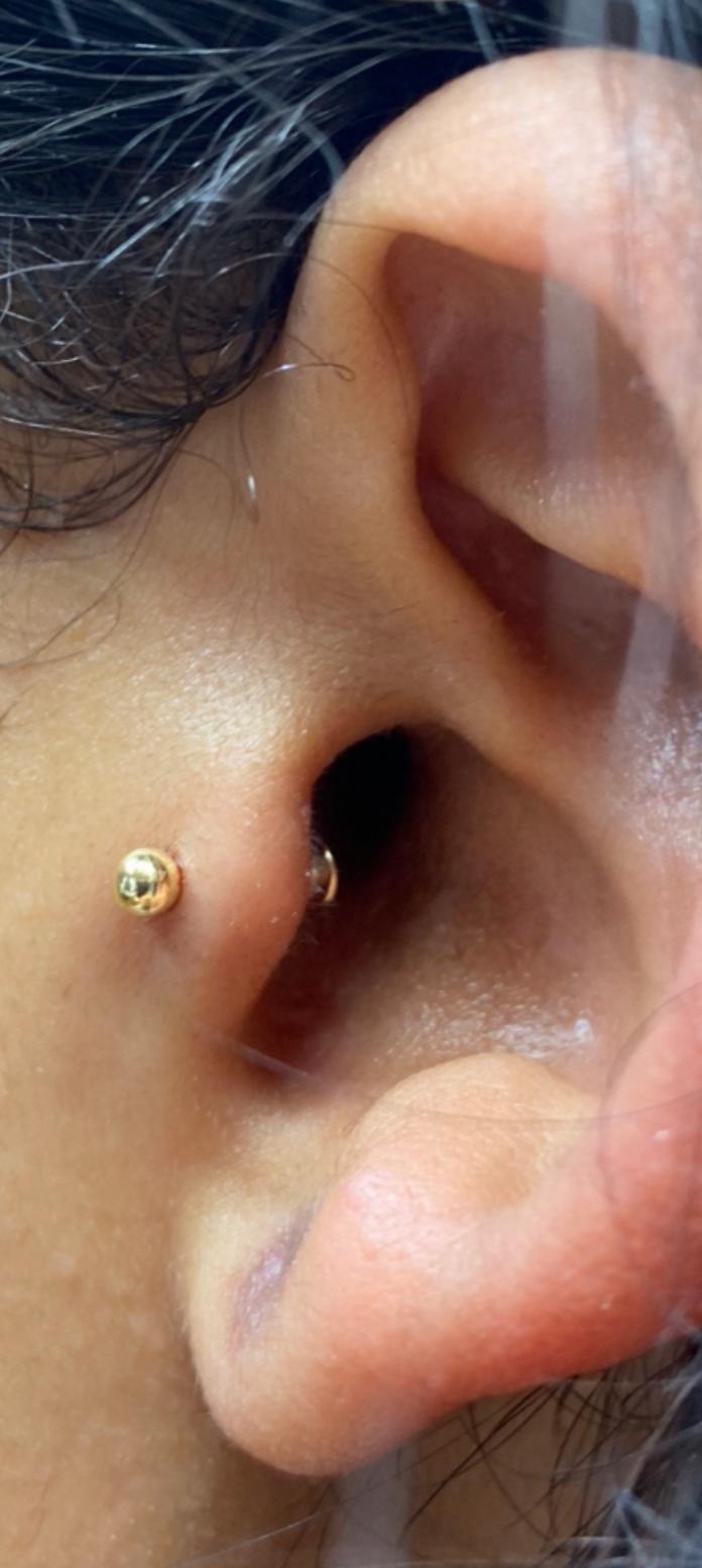 Family Traditions Tattoo and Piercing LLC Image