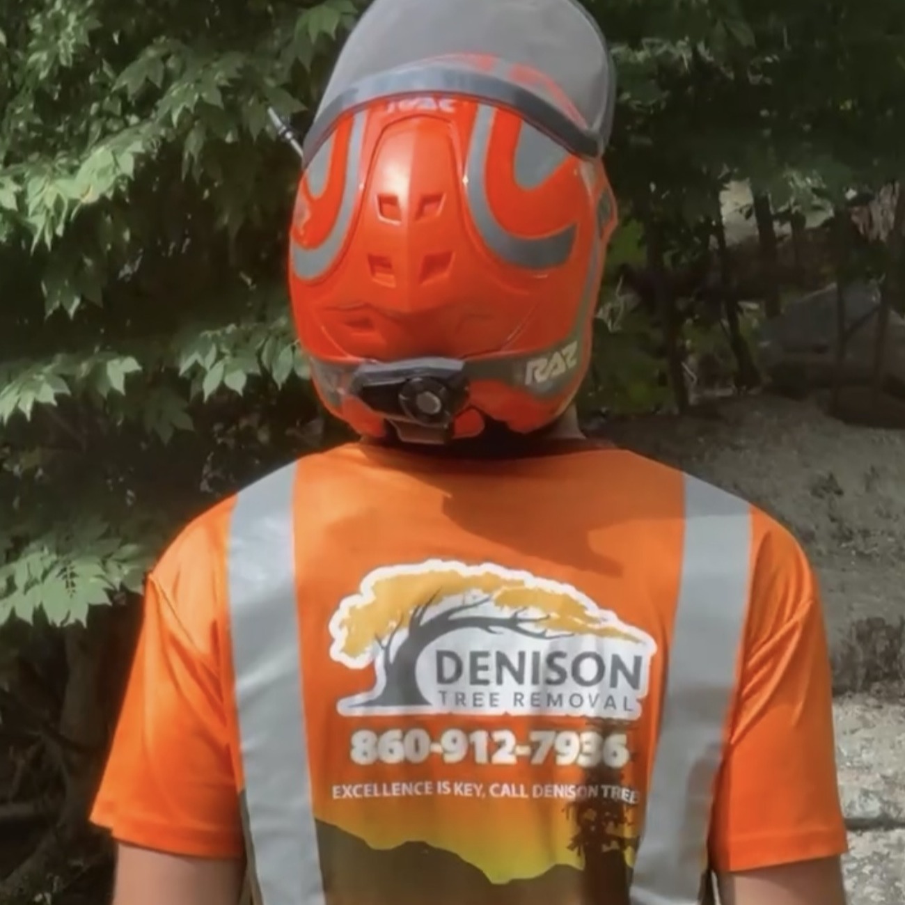 Denison Tree Removal Image