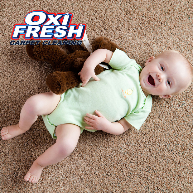 Images Oxi Fresh Carpet Cleaning