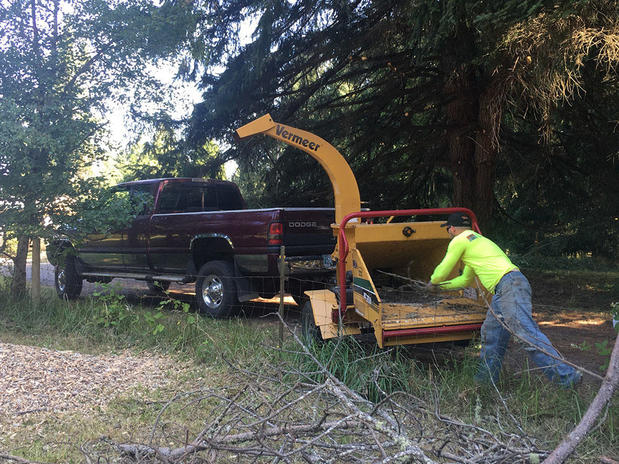 Images Tim's Tree Removal And Services LLC