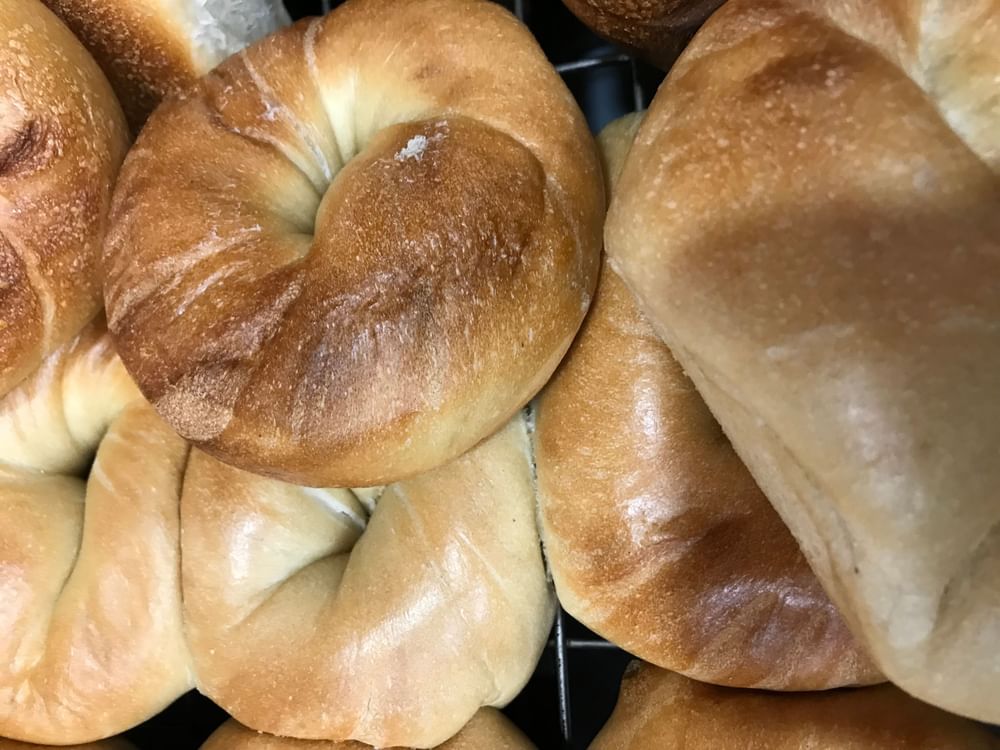 Plain Bagel