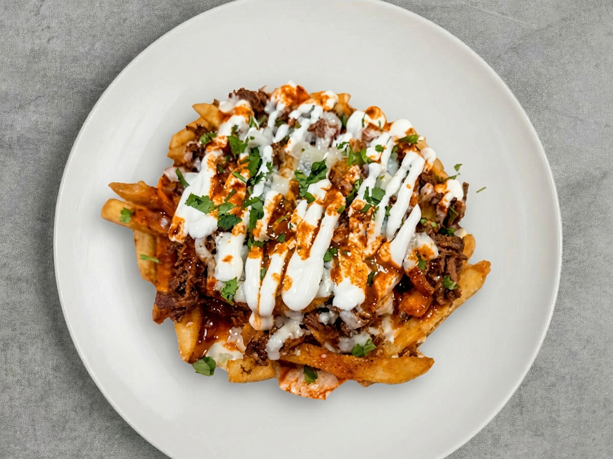 Birria Fries