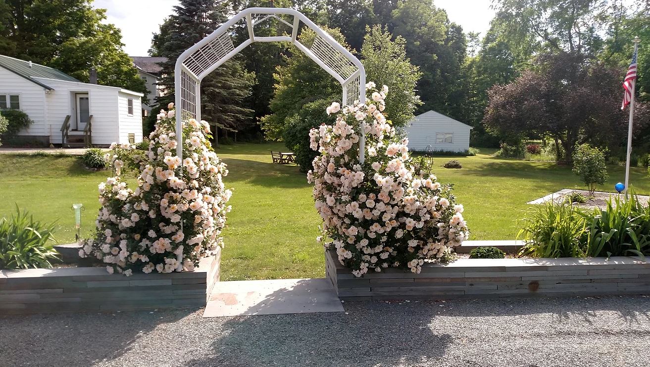 Davis Stone Works & Landscaping Image