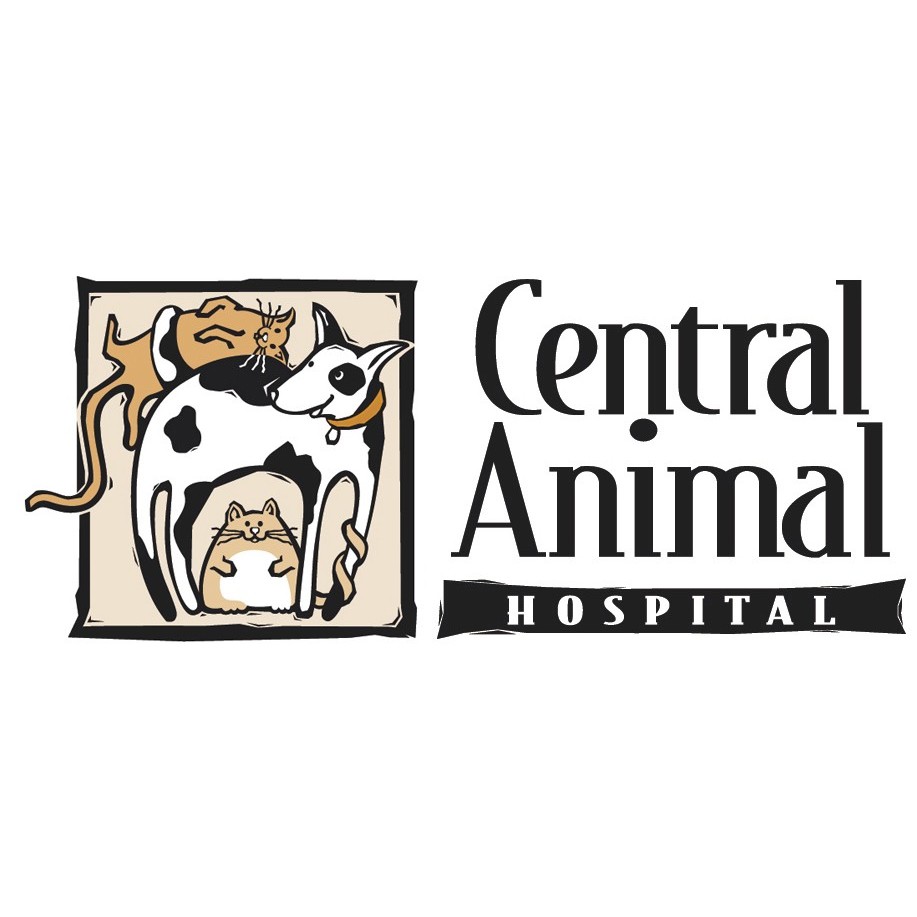 Central Animal Hospital Photo