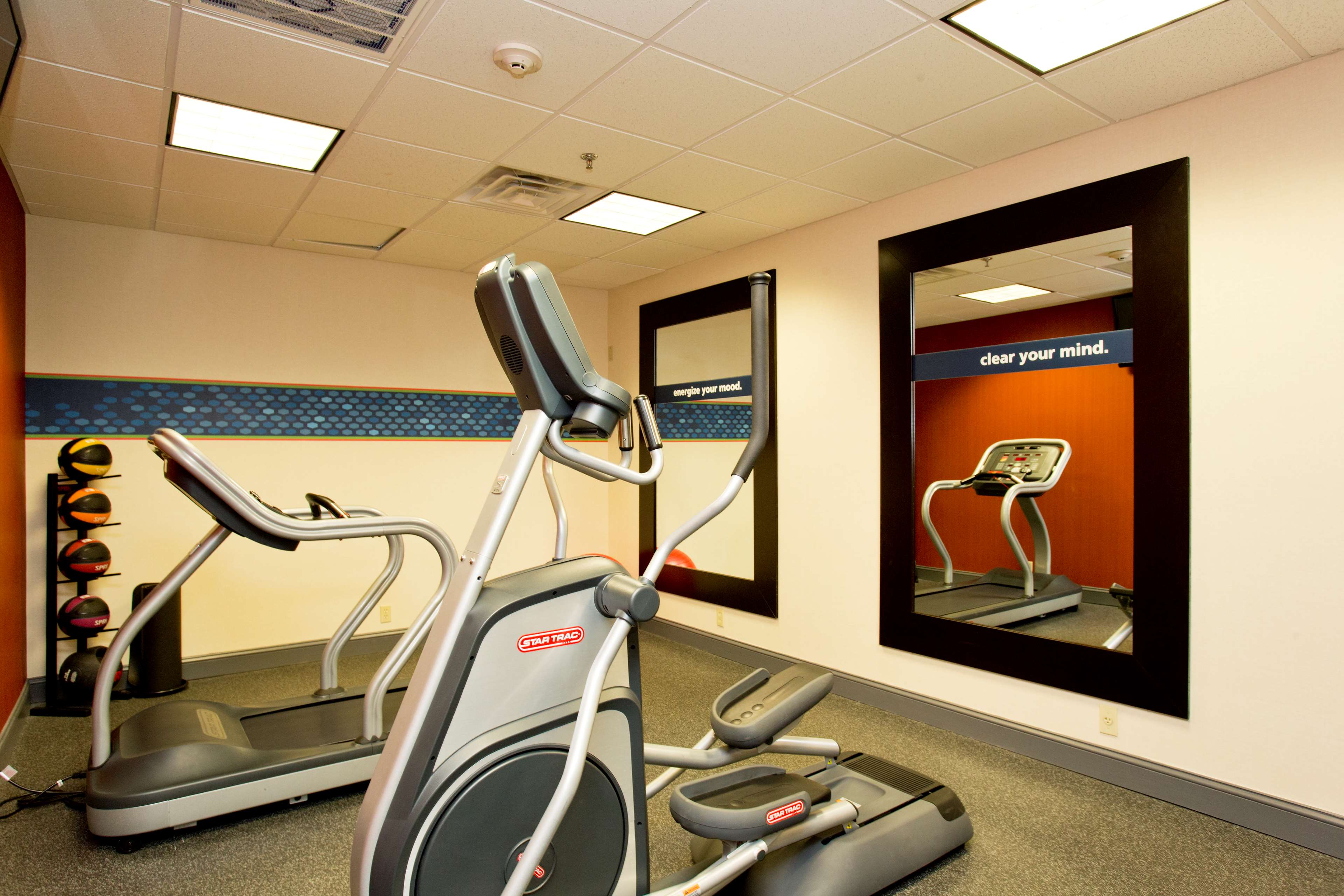 Health club  fitness center  gym