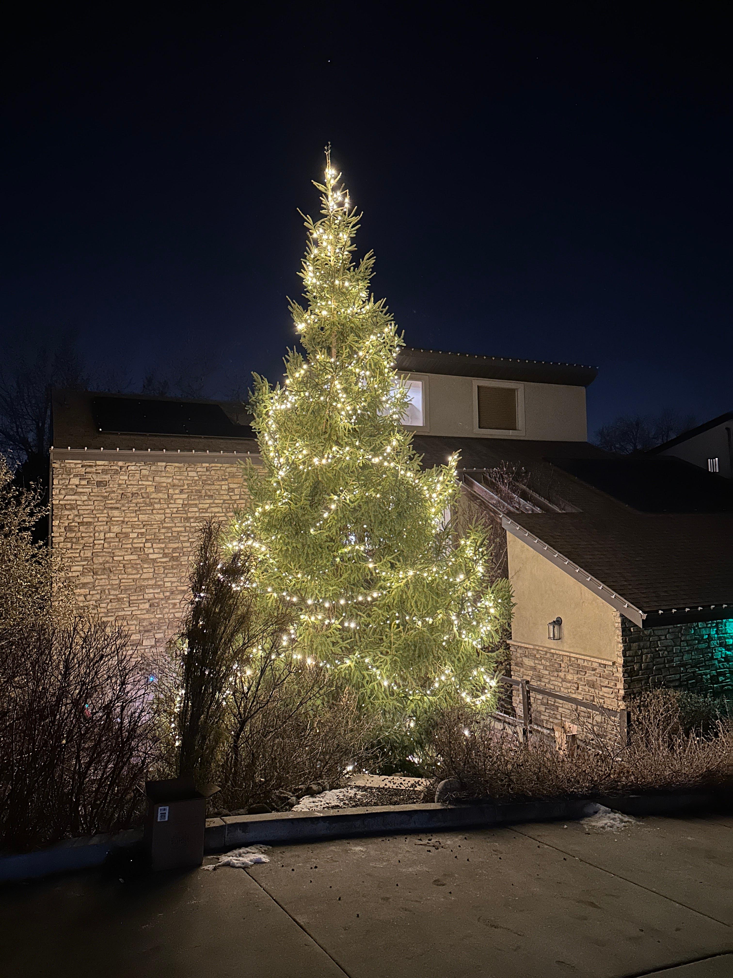 Salt Lake City Christmas Lights Image