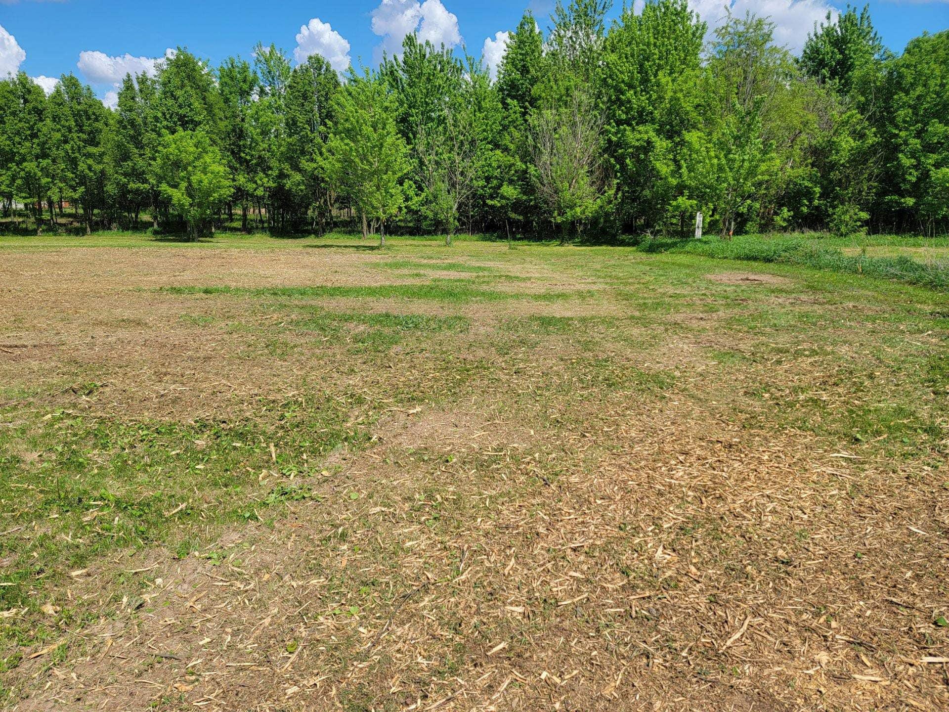Yarger’s Forestry Services Image