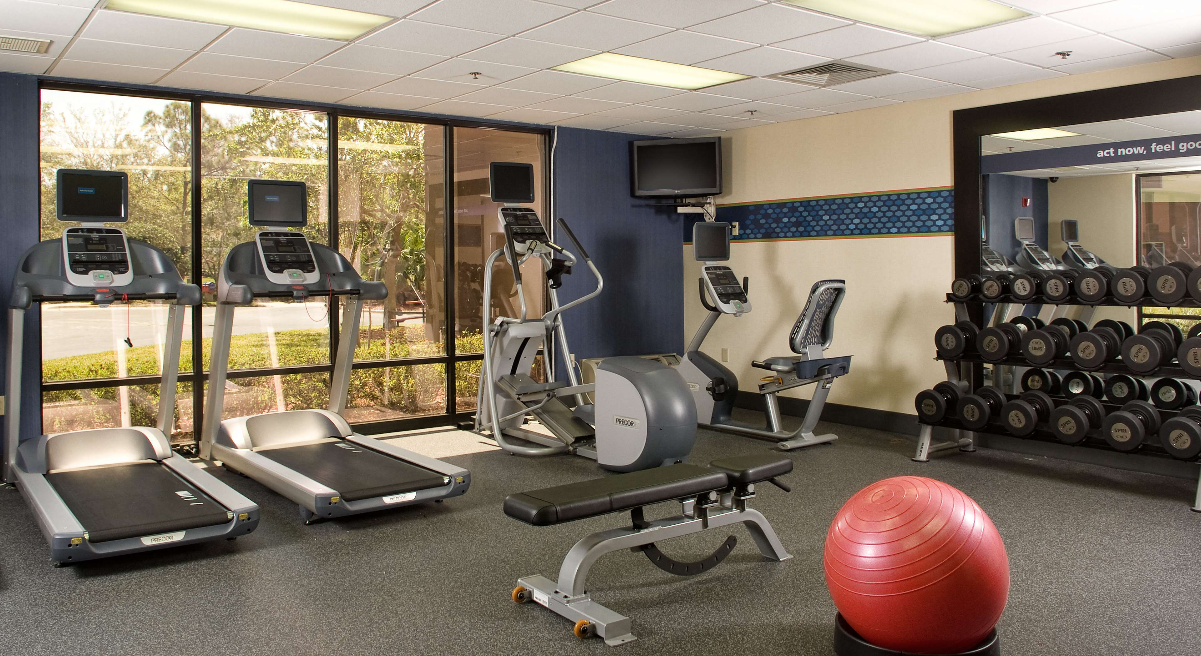 Health club  fitness center  gym