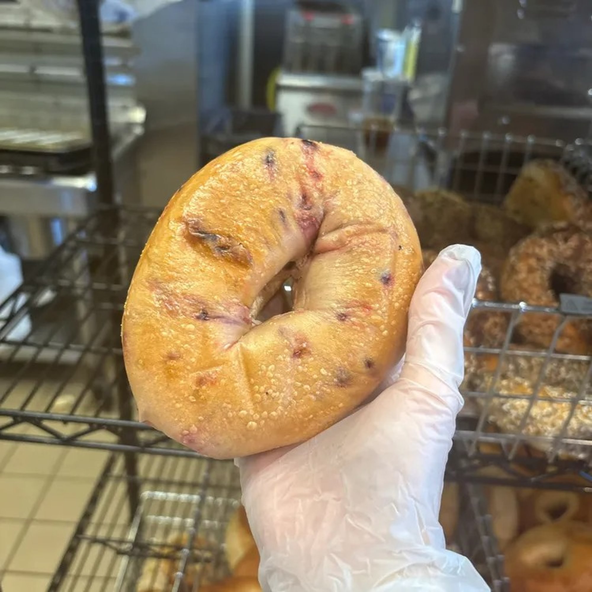 Blueberry Bagel