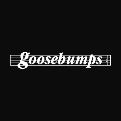 Goosebumps Home Theatre And Custom Installation Photo