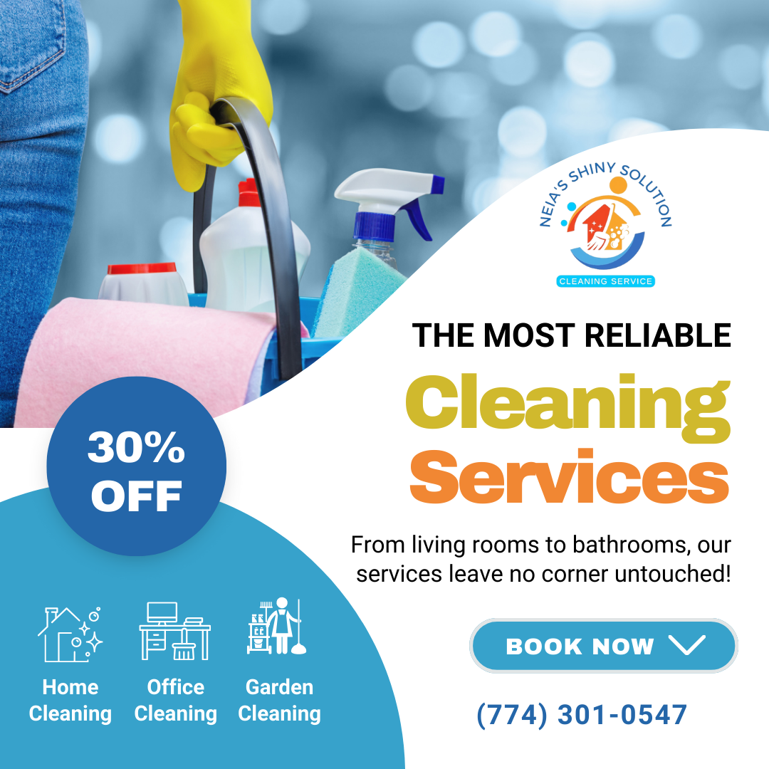 Neia's Shiny Solutions Image