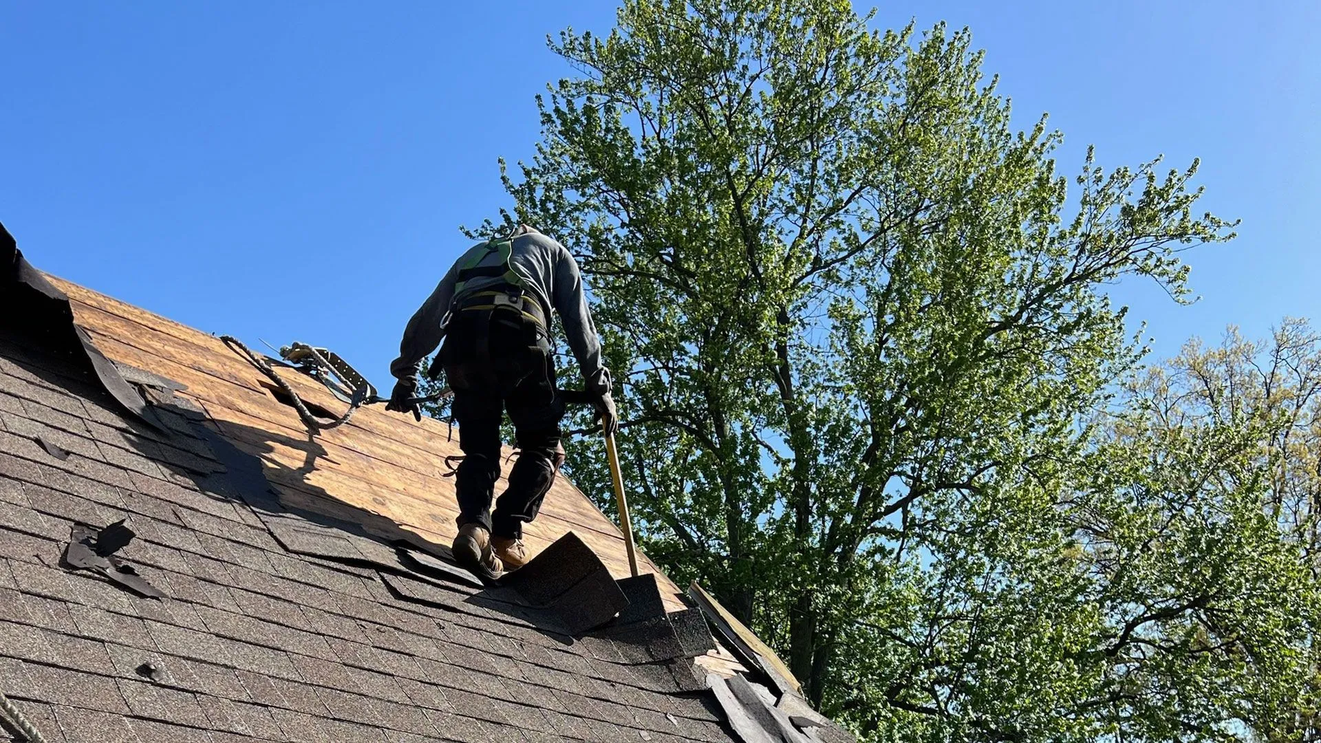 Roof Repairs