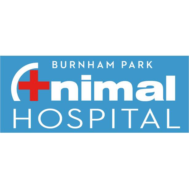 Burnham Park Animal Hospital Photo