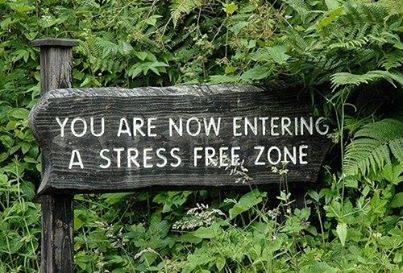 Come on in and let us show you what it feels like to be in a STRESS FREE ZONE!