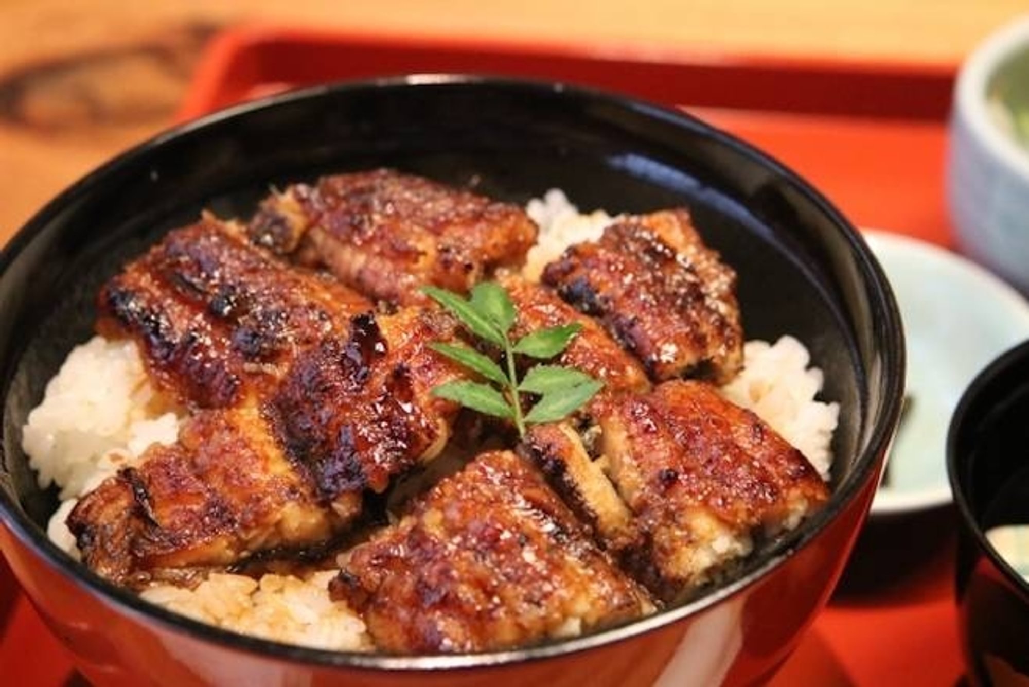 Unagi Don