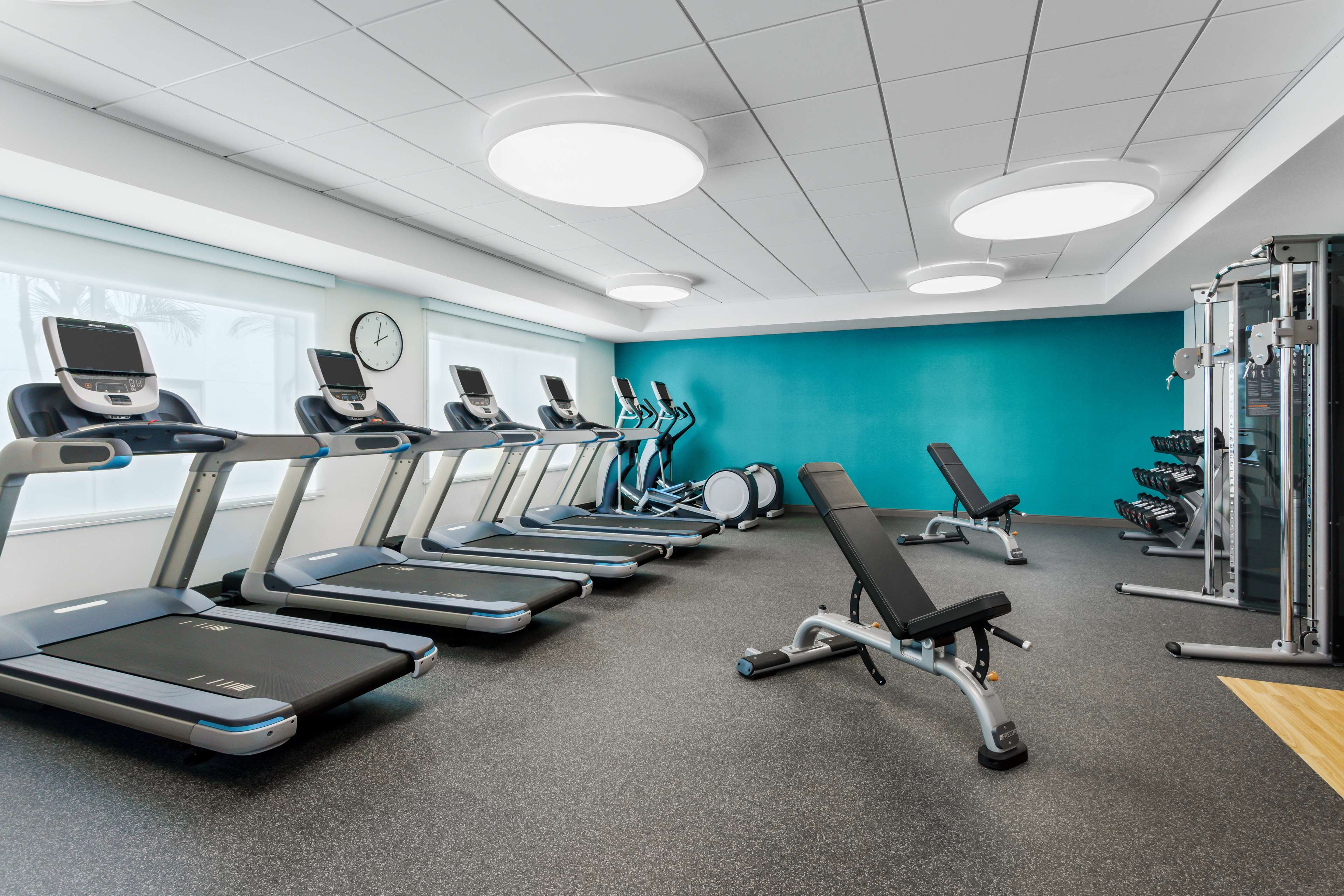 Health club  fitness center  gym
