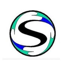 Savage Engineering Logo