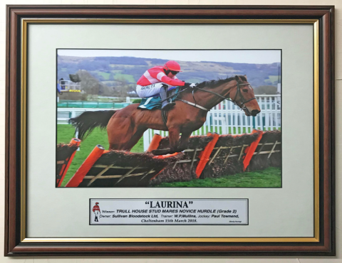 Framed Prints