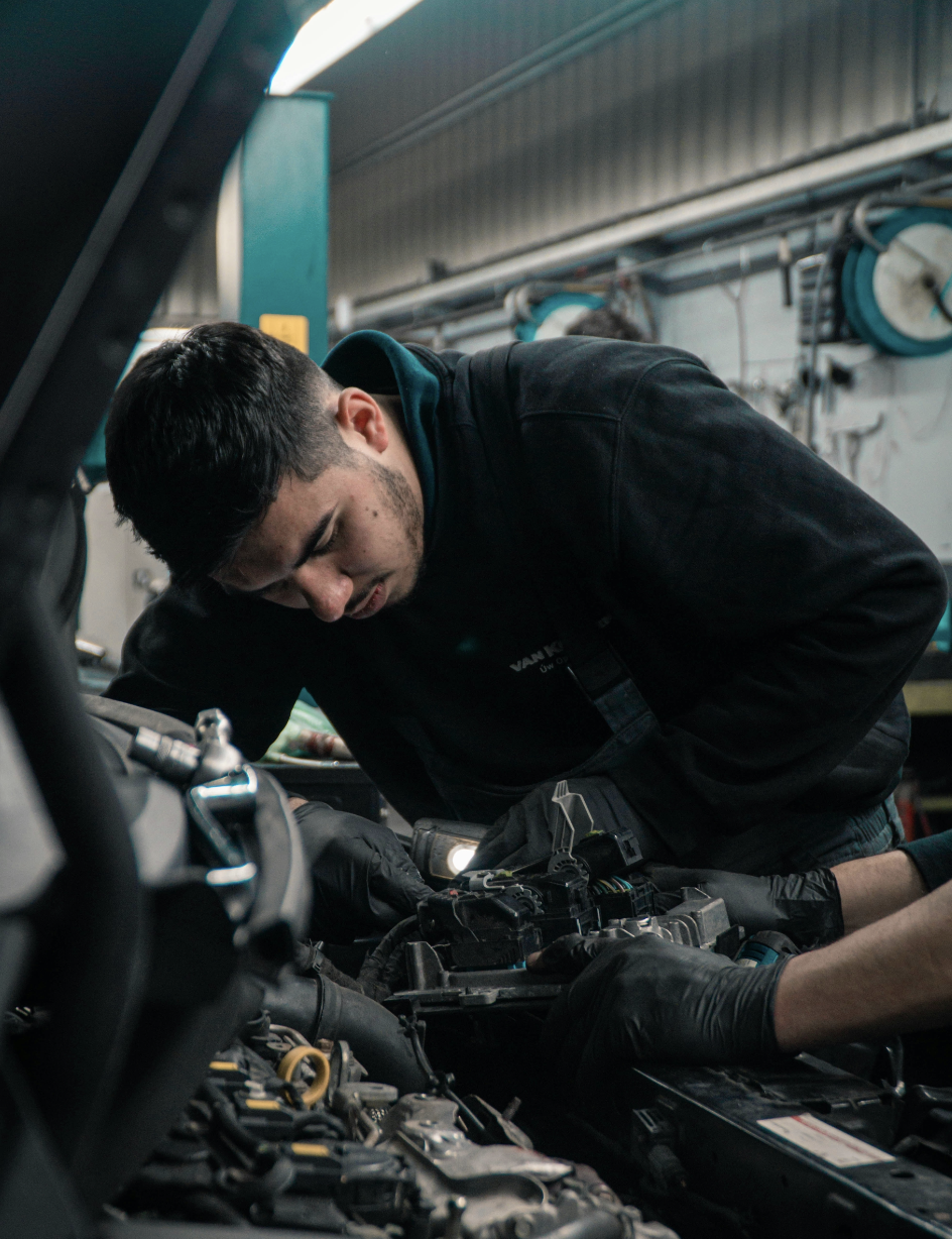 Galería de imágenes