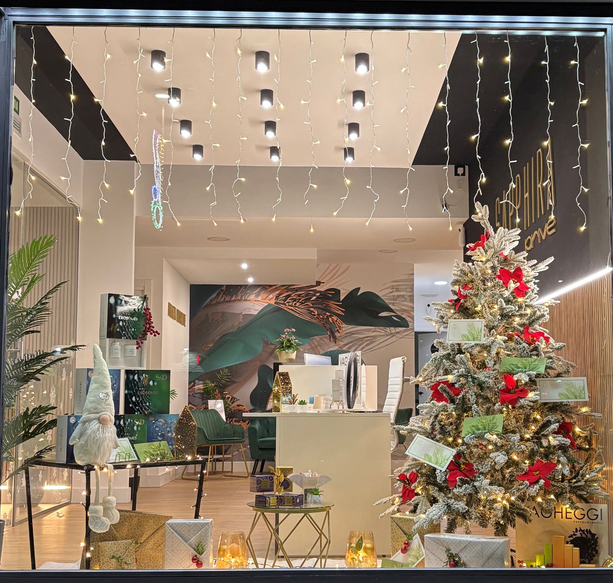 Galería en miniatura