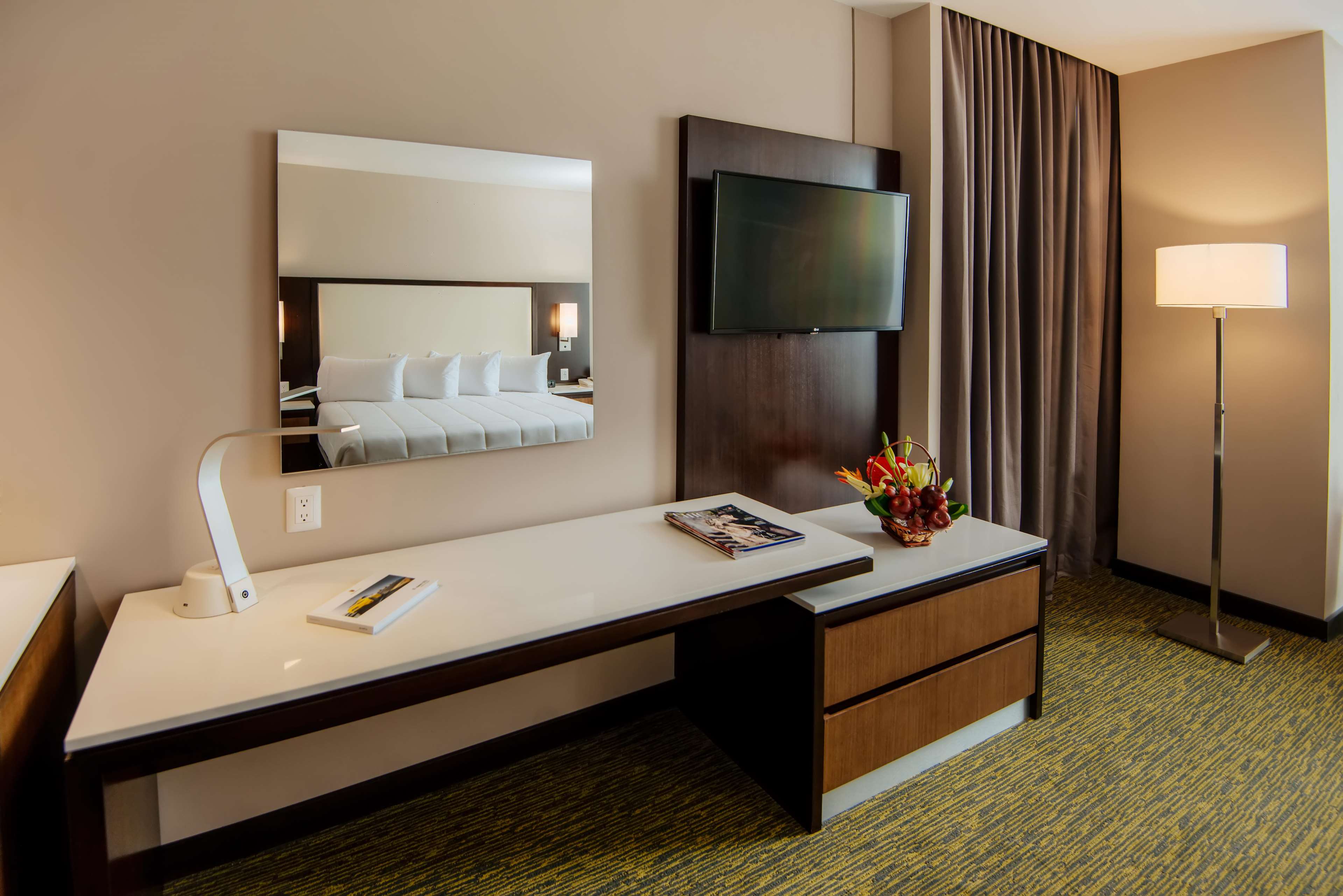 Images Hilton Garden Inn Puebla Angelópolis