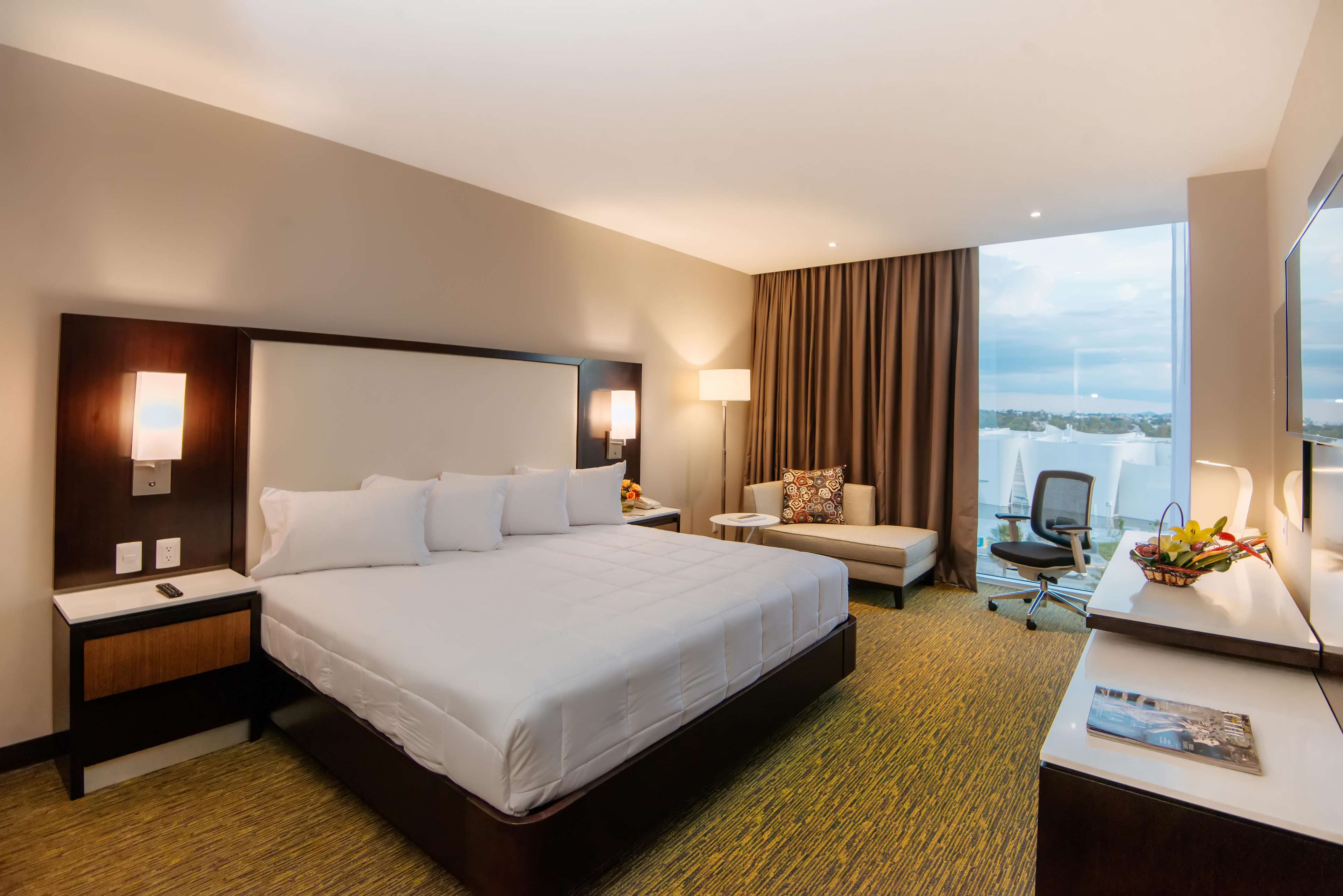 Images Hilton Garden Inn Puebla Angelópolis